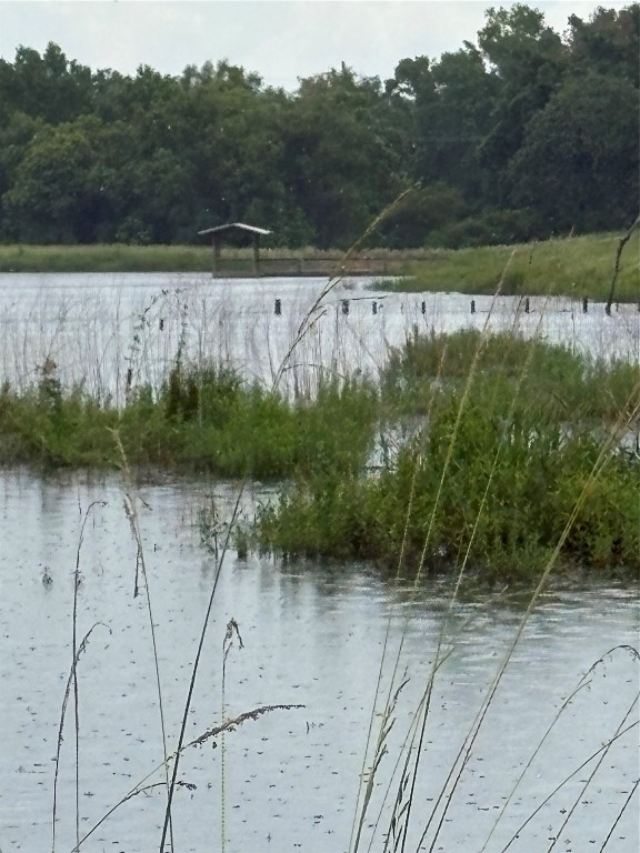 12151 State Highway 75 North Buffalo, TX 75831 - Photo 43 of 50 Posts in the water are visible showing the boundary line. Woods in back are on a neighboring property