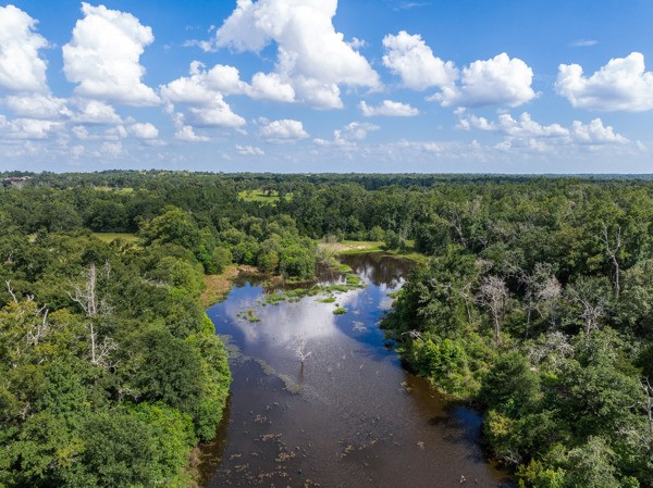 12151 State Highway 75 North Buffalo, TX 75831 - Photo 45 of 50 Perfect for fishing, boating, and ultimate relaxation.