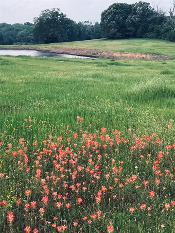 $580,000 | 12151 State Highway 75 North, Buffalo, TX 75831