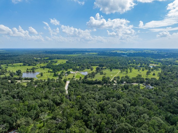 12151 State Highway 75 North Buffalo, TX 75831 - Photo 48 of 50 Larger aerial view