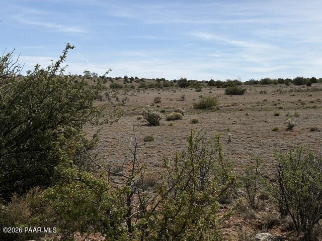 363- Via Dolorosa Road Seligman, AZ 86337 - Photo 4 of 6