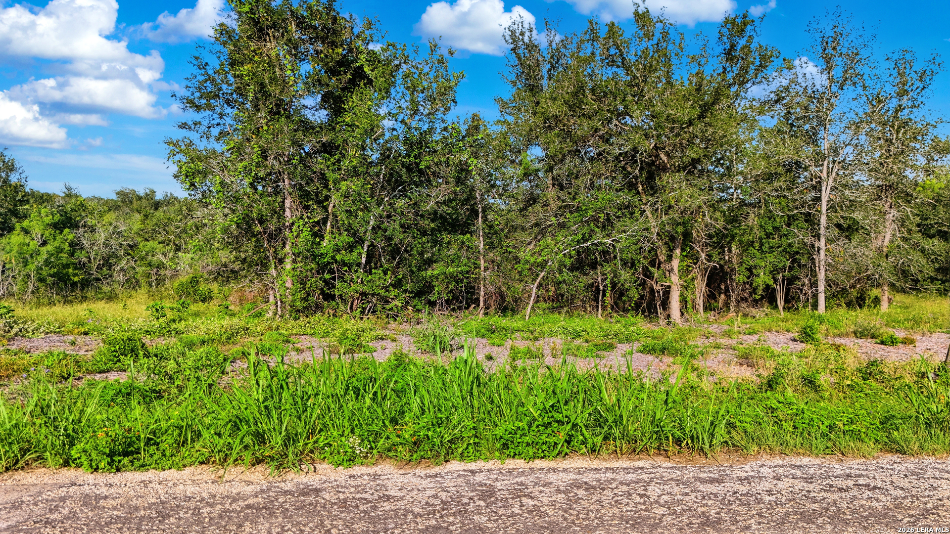 645 Marrou Road Seguin, TX 78155 - Photo 2 of 13