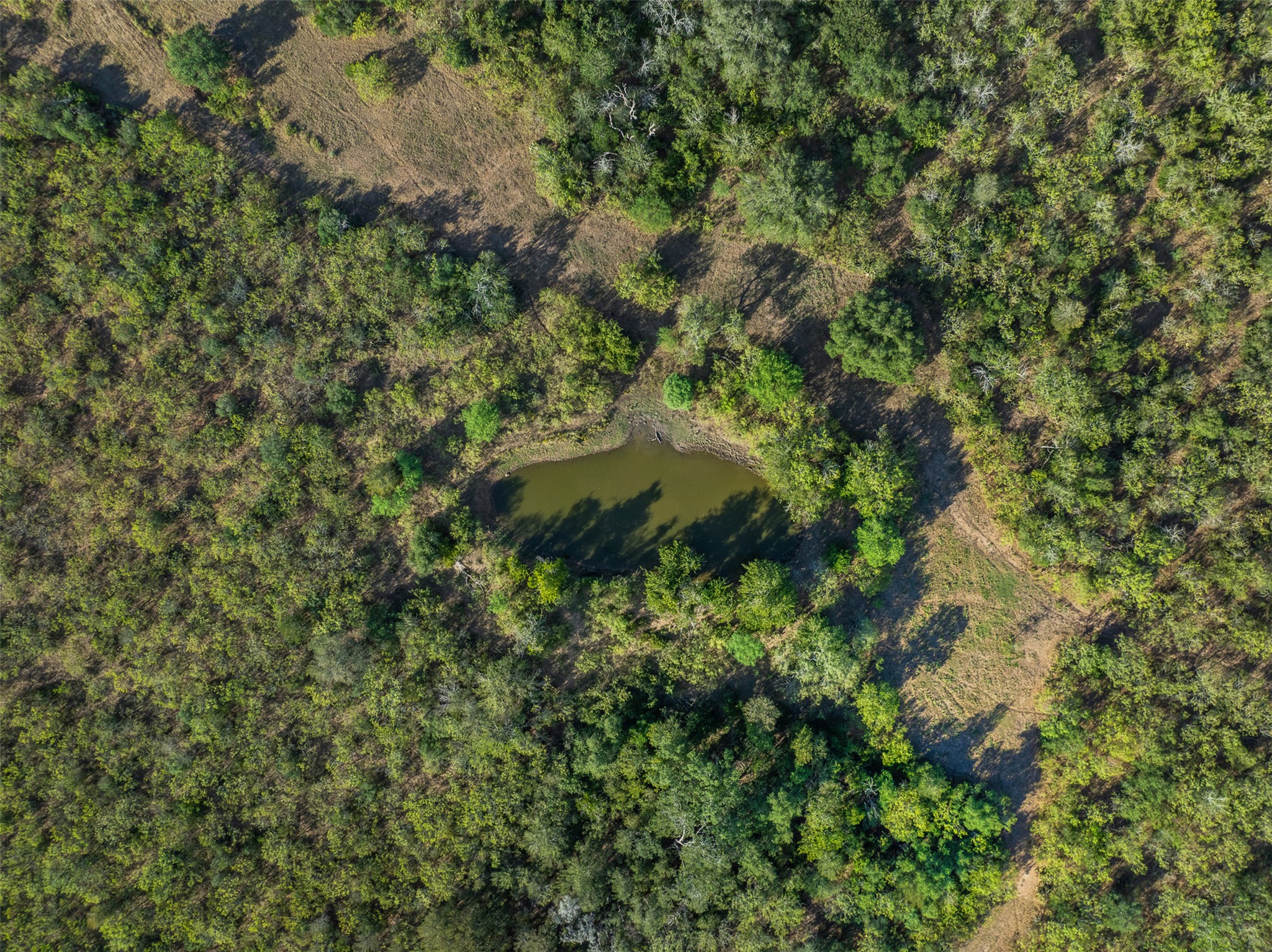 399 Seals Creek Road Lockhart, TX 78644 - Photo 26 of 40 Aerial overview of property's location with a large body of water