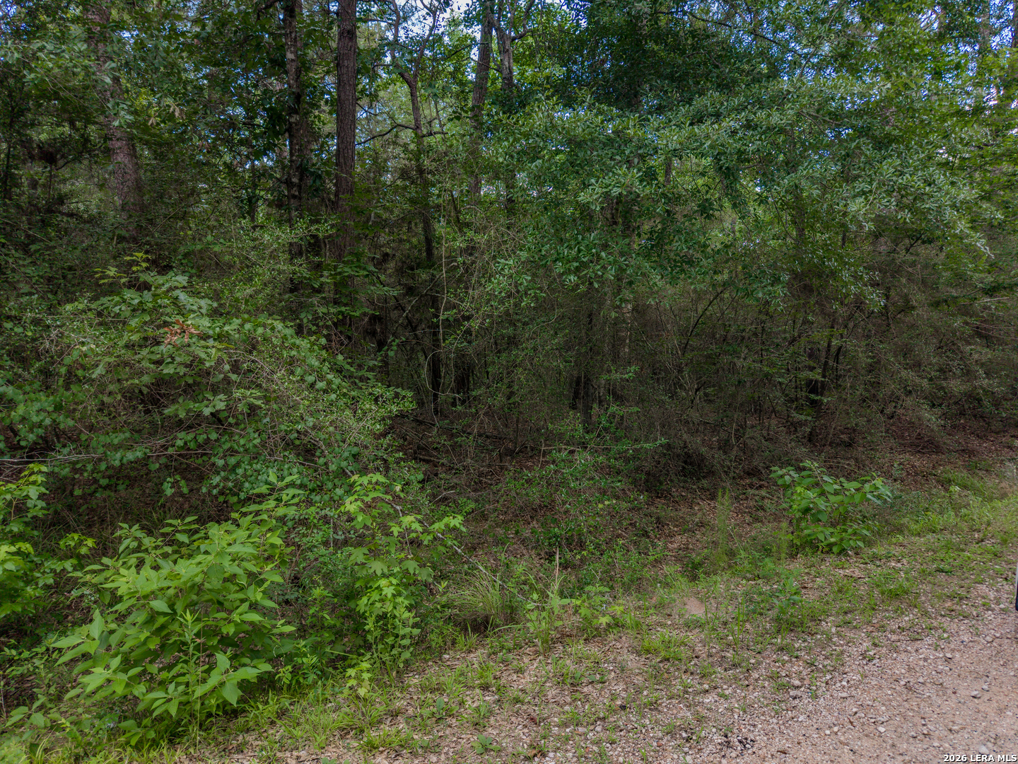 0 Zapata Way Willis, TX 77378 - Photo 13 of 40