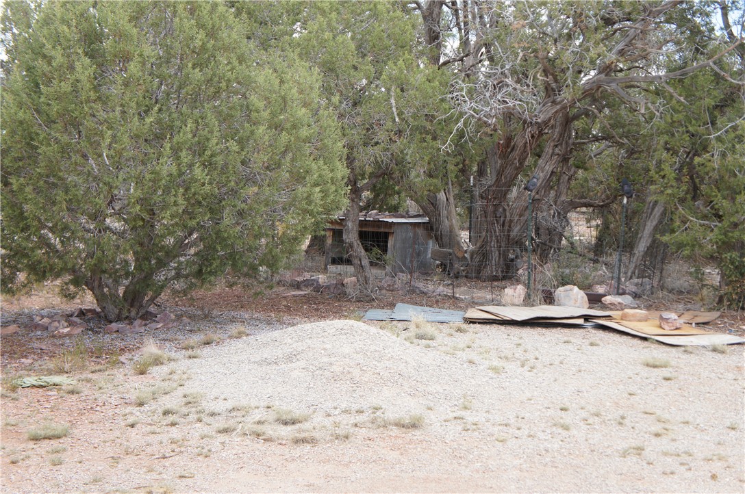200 Denny 5 Road Seligman, AZ 86337 - Photo 22 of 34