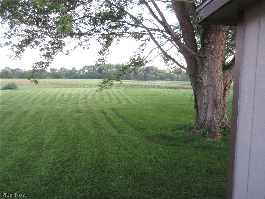 4569 Doylestown Road Creston, OH 44217 - Photo 13 of 15 View of the back yard.