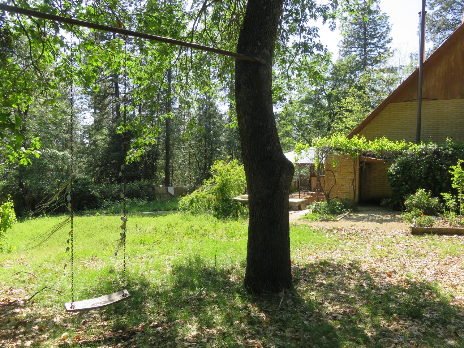 2400 Bald Mountain Road West Point, CA 95255 - Photo 27 of 68 a backyard of a house with plants and large trees