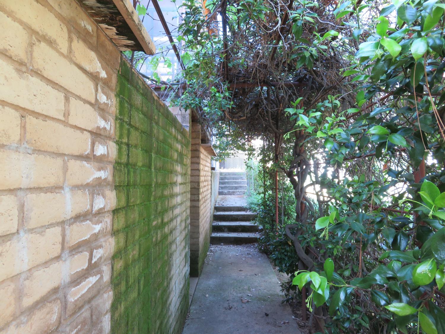 2400 Bald Mountain Road West Point, CA 95255 - Photo 33 of 68 a view of outdoor space and yard