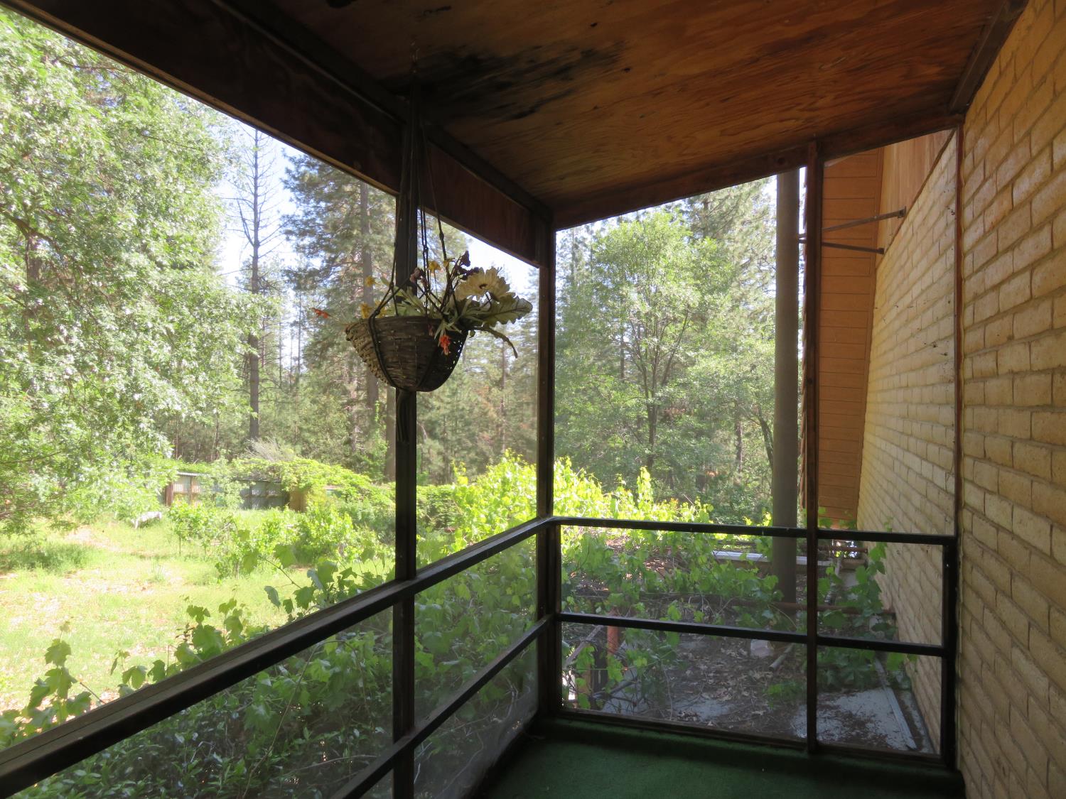 2400 Bald Mountain Road West Point, CA 95255 - Photo 45 of 68