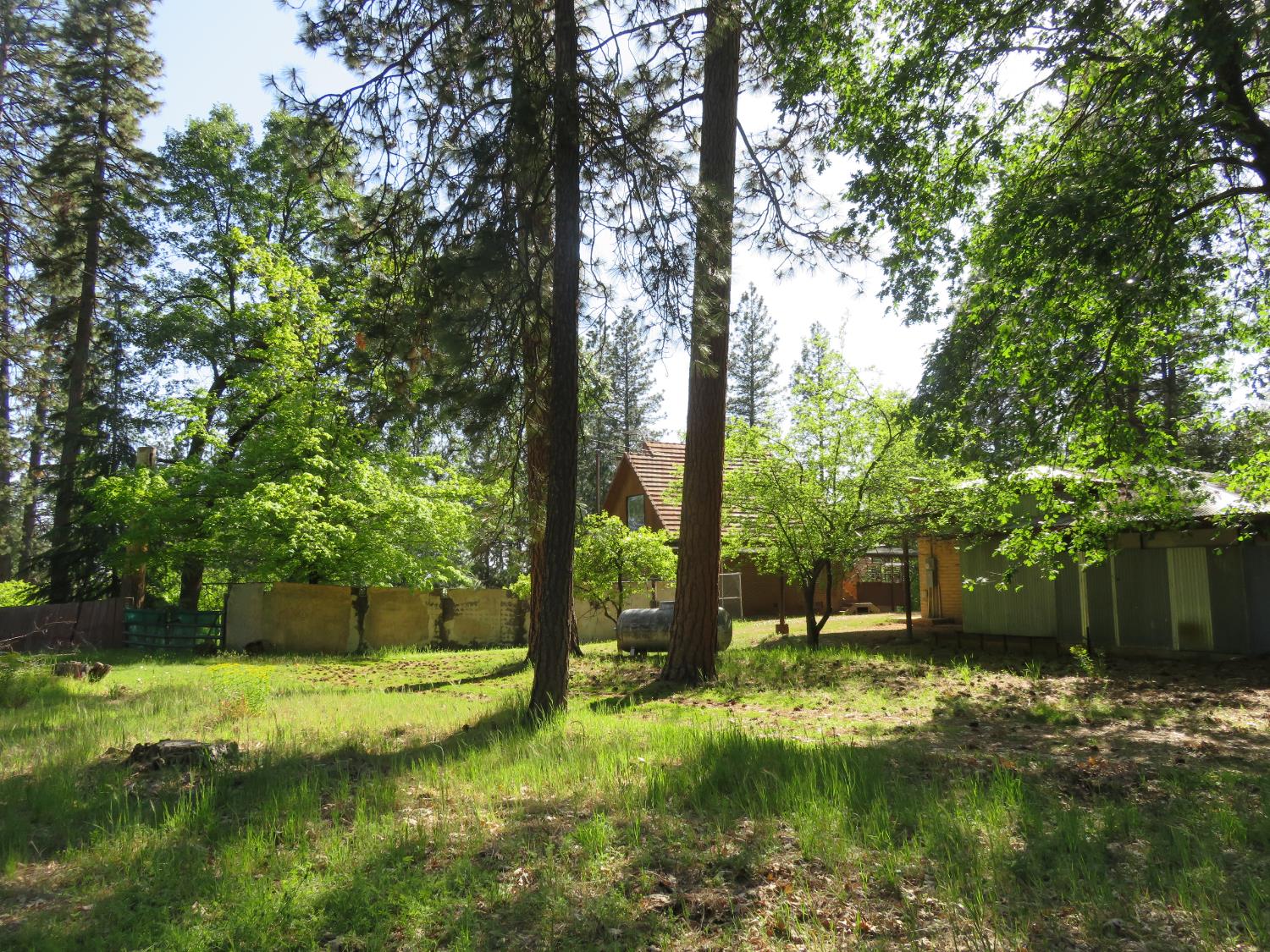 2400 Bald Mountain Road West Point, CA 95255 - Photo 66 of 68