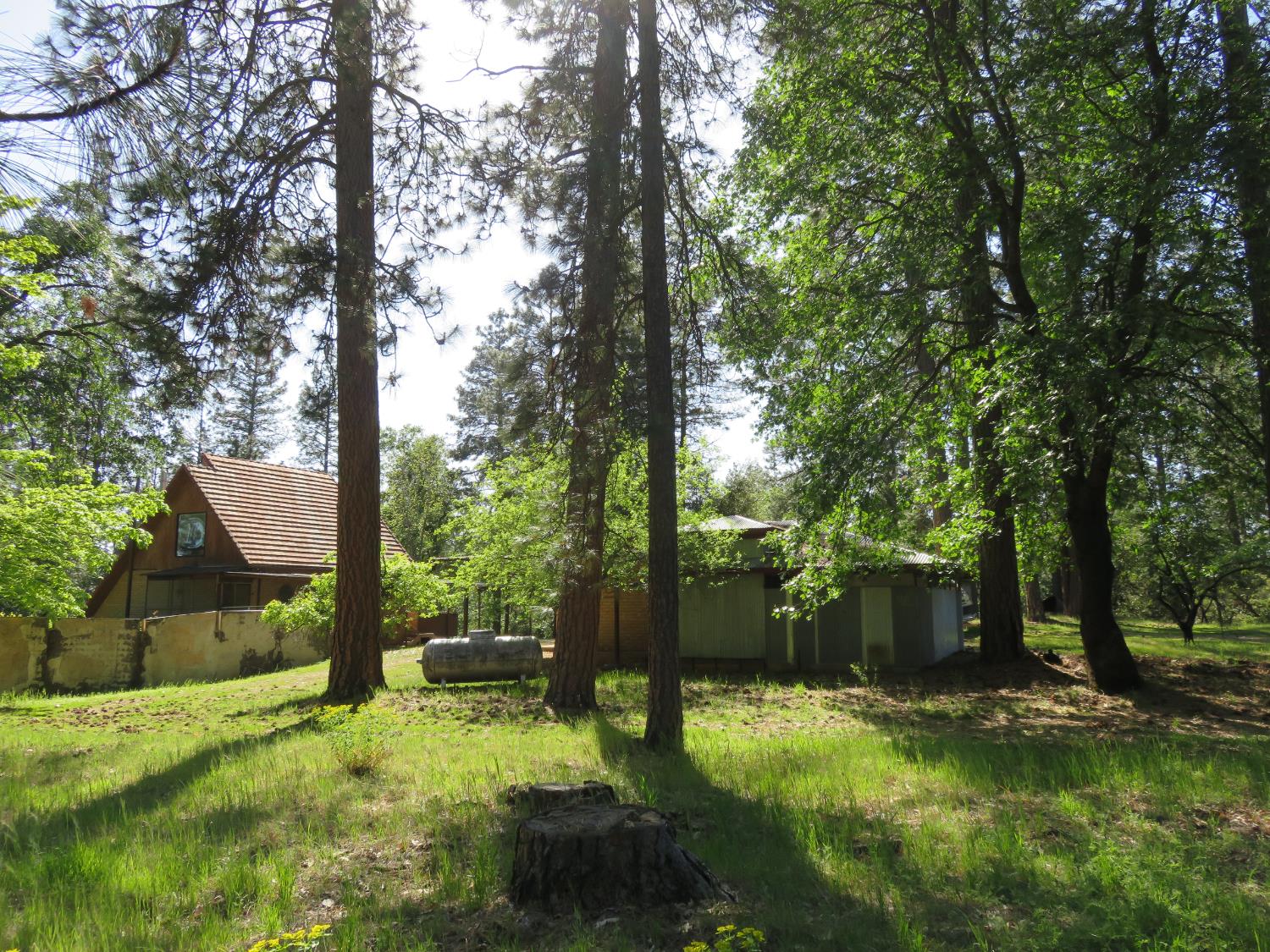 2400 Bald Mountain Road West Point, CA 95255 - Photo 67 of 68 a backyard of a house with yard and outdoor seating