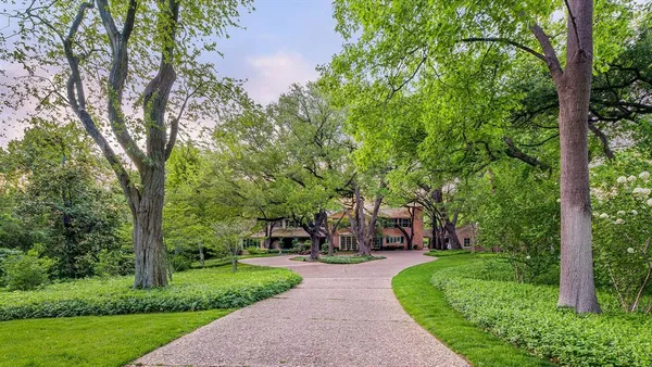 a view of a park with large trees