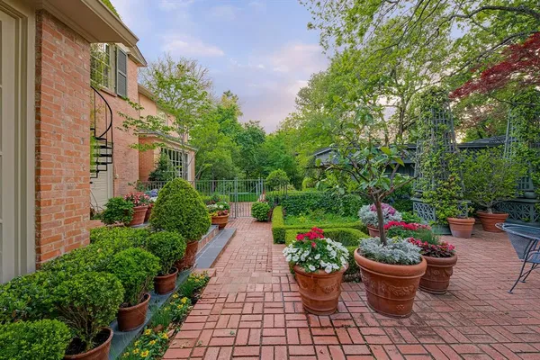 a view of a garden with potted plants