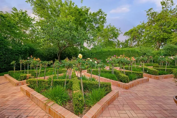 a view of a park with trees in the background