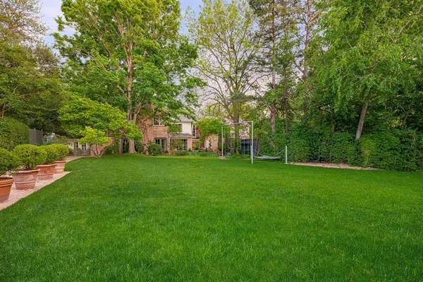a view of a backyard with a tree