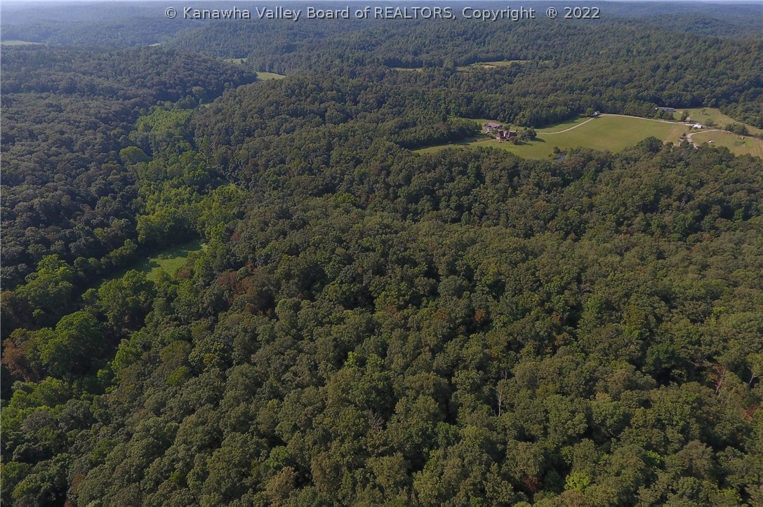 1725 Capehart Road Leon, WV 25123 - Photo 10 of 46 Gallery Image 10