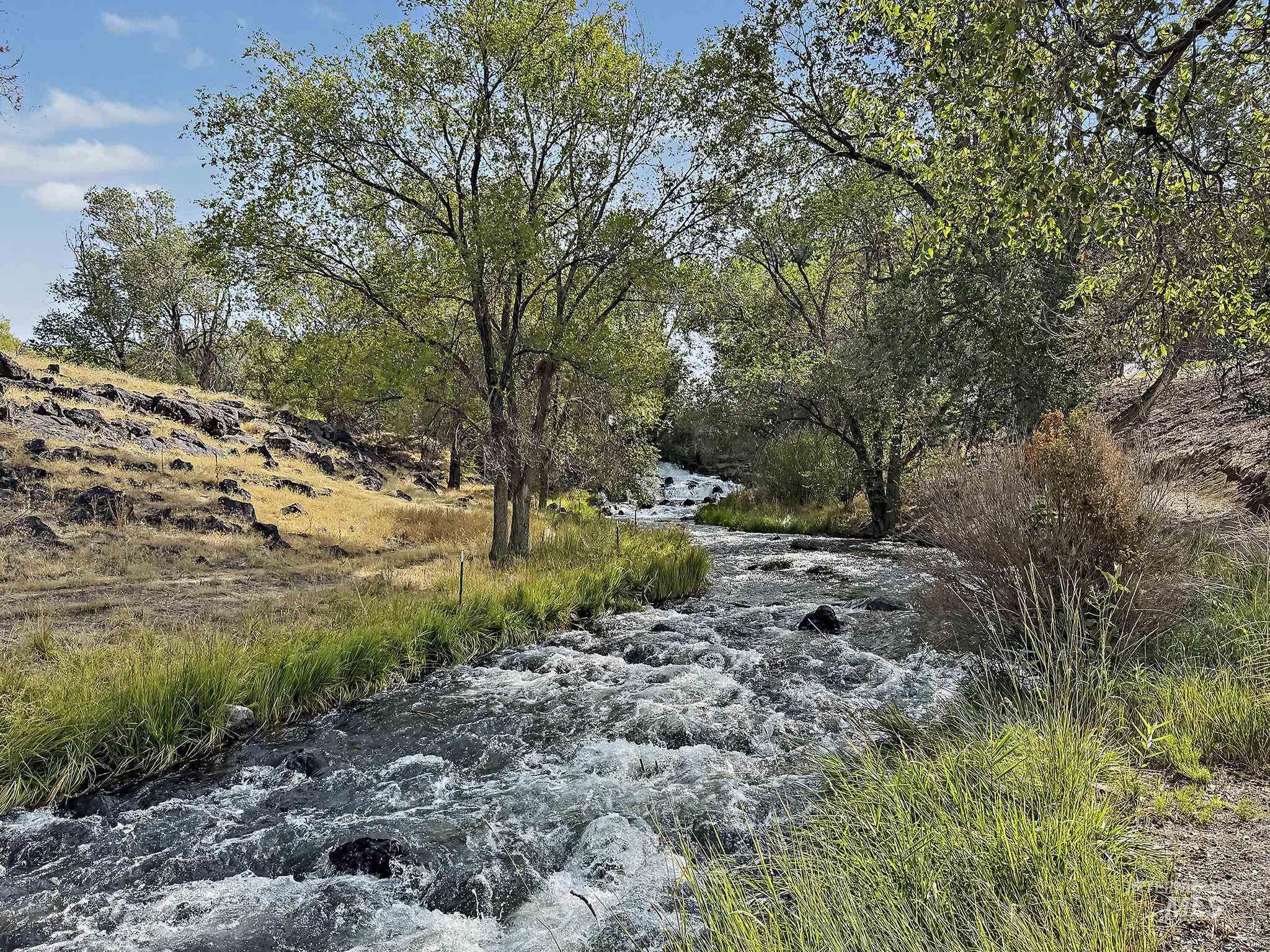 6900 West Charters Lane Melba, ID 83641 - Photo 3 of 49 Natural stream flowing through a grassy landscape with mature trees and rocky terrain