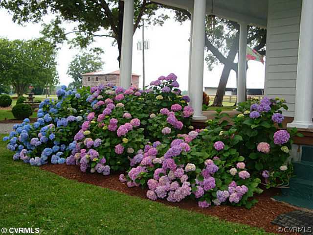 1745 Cardwell Road Crozier, VA 23039 - Photo 4 of 18 a view of a flower in a garden