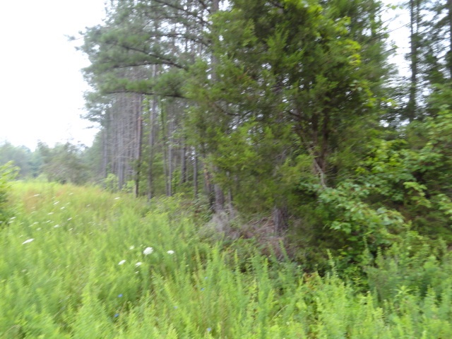 129 Forest View Road Cumberland, VA 23040 - Photo 1 of 3 Gallery Image 1