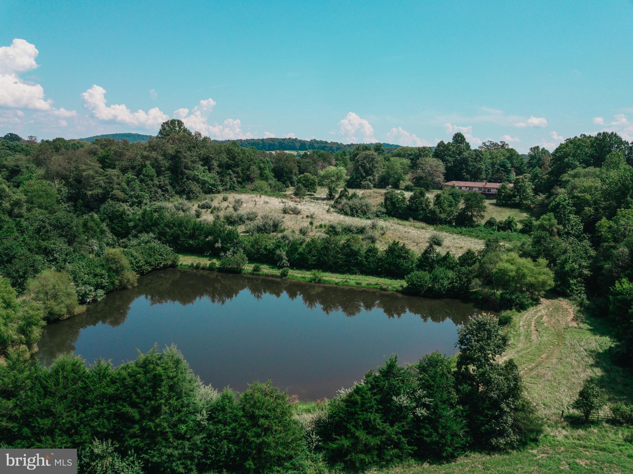 23562 Cedar Ridge Road Rapidan, VA 22733 - Photo 7 of 34 Your pond!!!