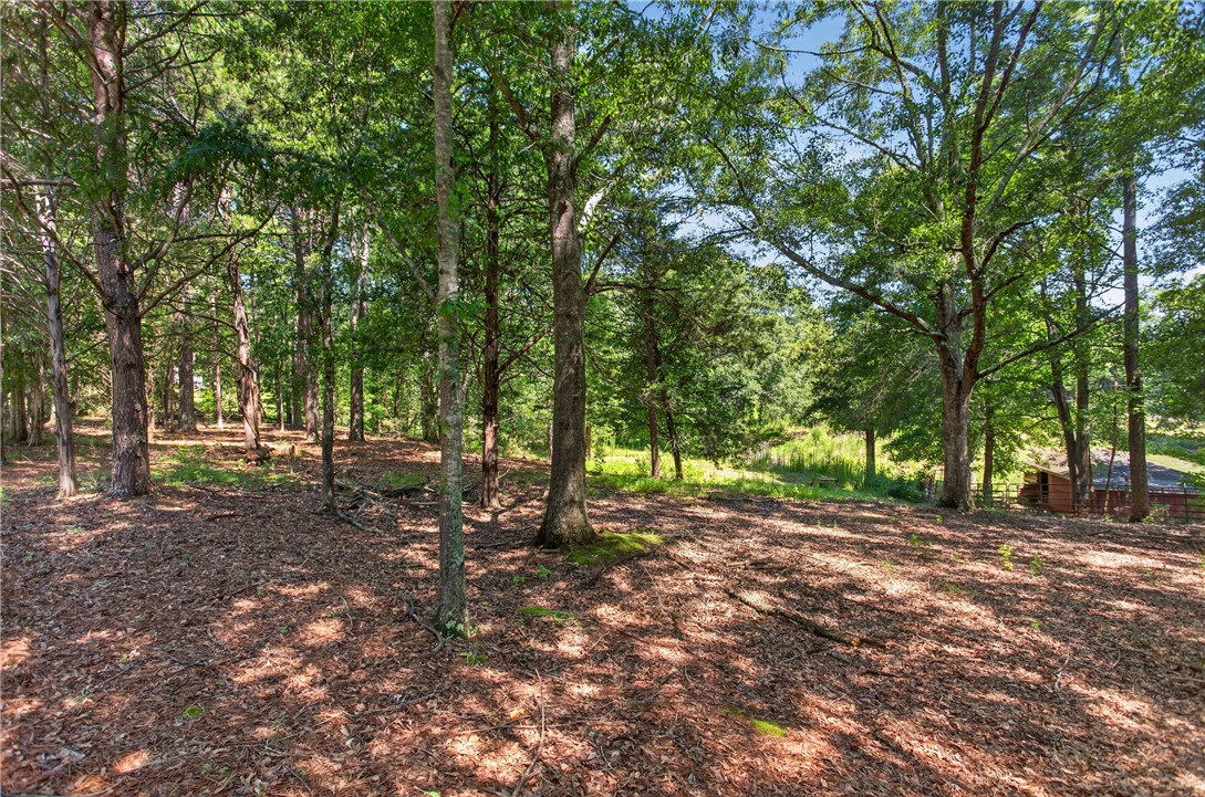 0 Seneca Springs Landing Road Seneca, SC 29678 - Photo 13 of 39 Mature trees cast dappled light over this peaceful, wooded yard, offering serene natural beauty.