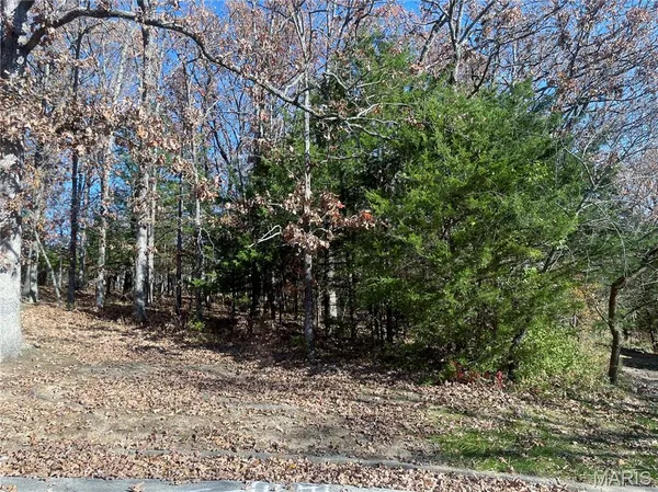 $18,000 | 0 California Drive, Rolla, MO 65401