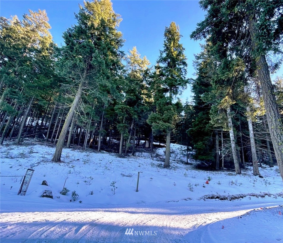 41 Rodeo Road Cle Elum, WA 98922 - Photo 2 of 6 Gallery Image 2