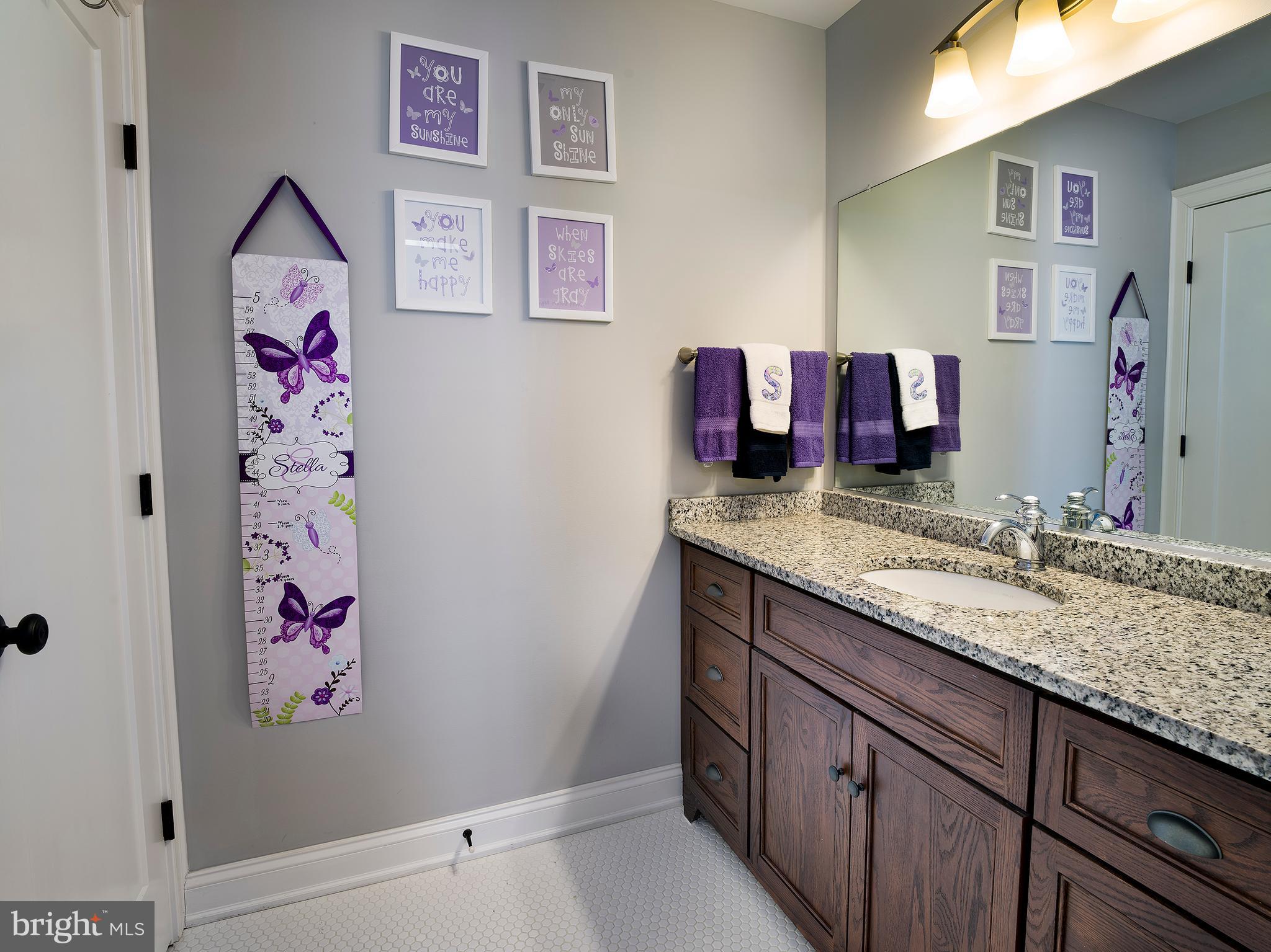 1241 Morris Road Wynnewood, PA 19096 - Photo 25 of 36 Bathroom