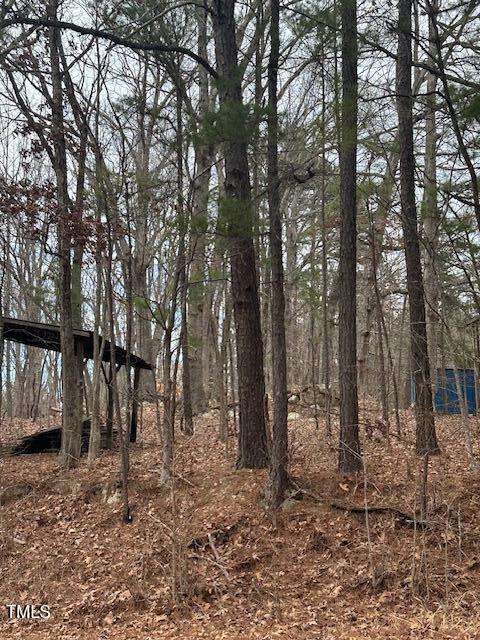 0 Bob Daniel Road Oxford, NC 27565 - Photo 4 of 6 image3 (7)