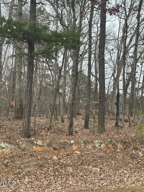 0 Bob Daniel Road Oxford, NC 27565 - Photo 5 of 6 image5 (1)