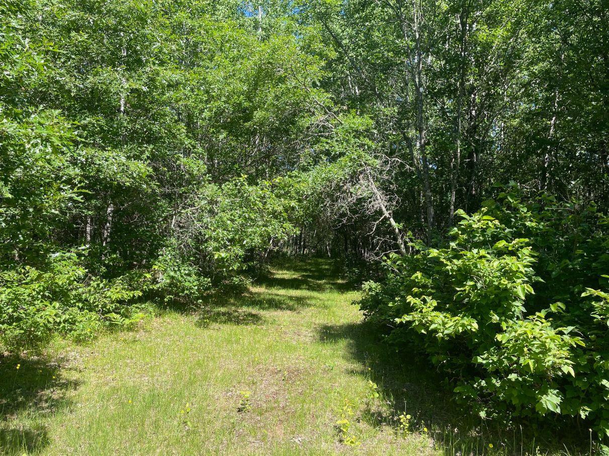 12997 East Mail Road Gordon, WI 54838 - Photo 45 of 65