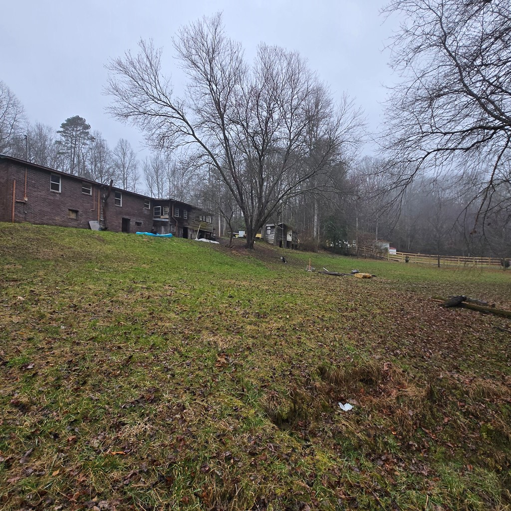 5134 Boardtown Road Ellijay, GA 30540 - Photo 15 of 41 a backyard of a house with lots of green space