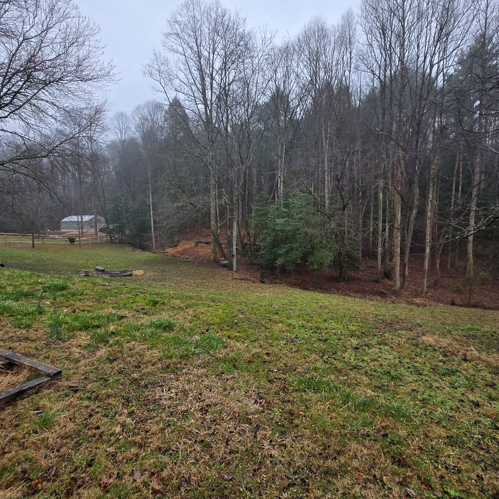 5134 Boardtown Road Ellijay, GA 30540 - Photo 19 of 41 a view of a backyard