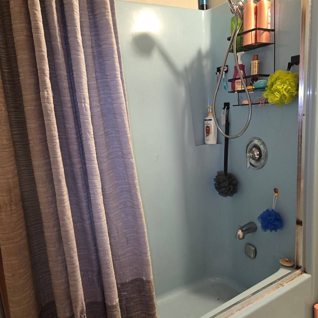 5134 Boardtown Road Ellijay, GA 30540 - Photo 37 of 41 a bathroom with a shower and toilet