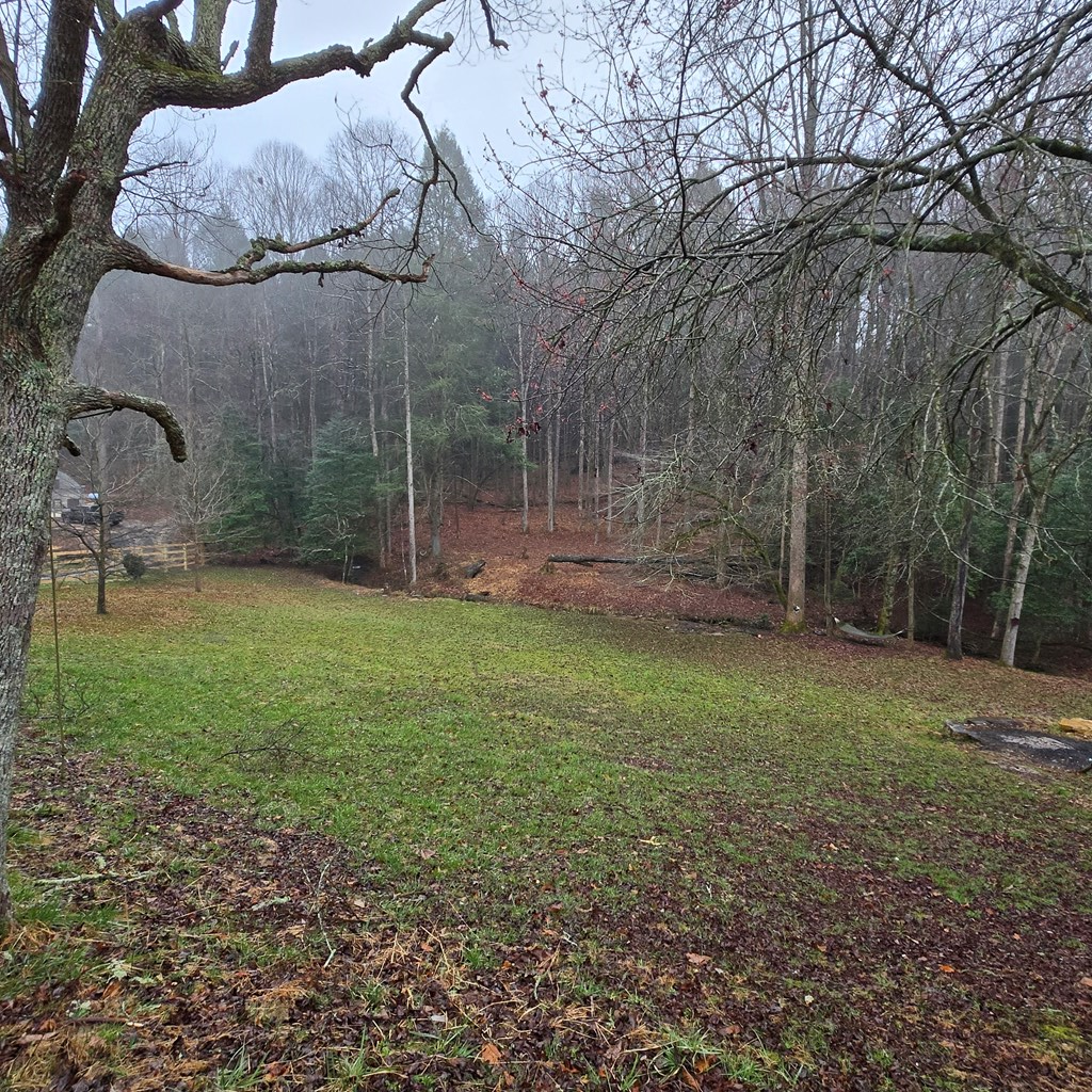 5134 Boardtown Road Ellijay, GA 30540 - Photo 9 of 41 a backyard of a house with lots of green space