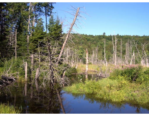 Lot 15 Windsor Bush Road Windsor, MA 01270 - Photo 4 of 6