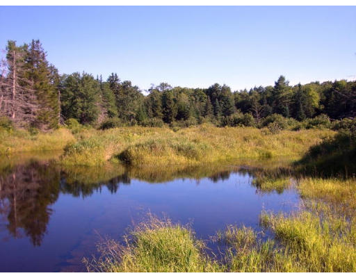 Lot 15 Windsor Bush Road Windsor, MA 01270 - Photo 5 of 6