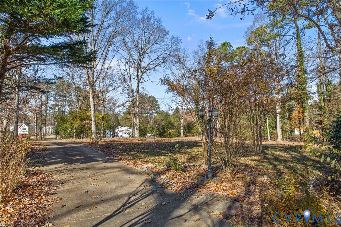 5359 Qualla Road Chesterfield, VA 23832 - Photo 43 of 49 a view of a yard with plants and large trees