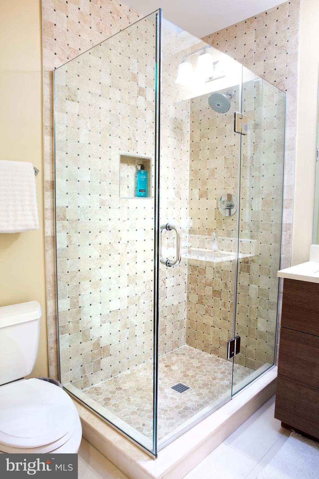 18 7th Street Northeast Washington, DC 20002 - Photo 29 of 53 Primary Bedroom Suite Spa Bath Southwest