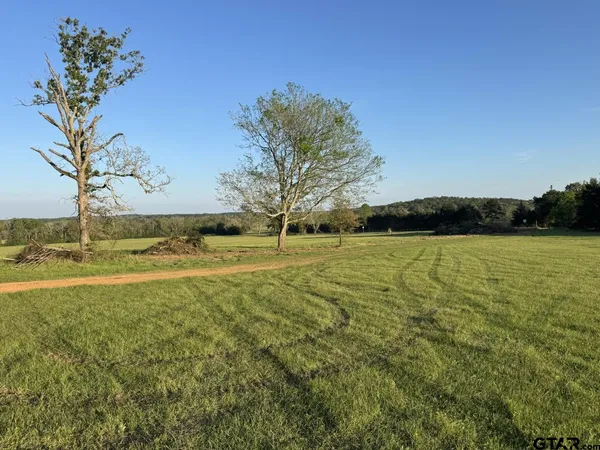 $115,000 | Tbd-a Fm 2867, Henderson, TX 75654