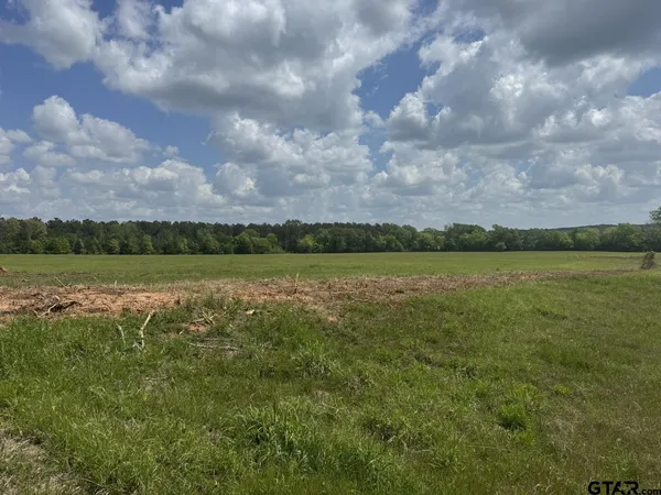 $115,000 | Tbd-a Fm 2867, Henderson, TX 75654