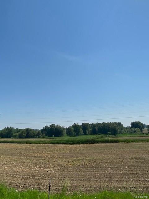 7451 Fostoria Road Mayville, MI 48744 - Photo 12 of 41
