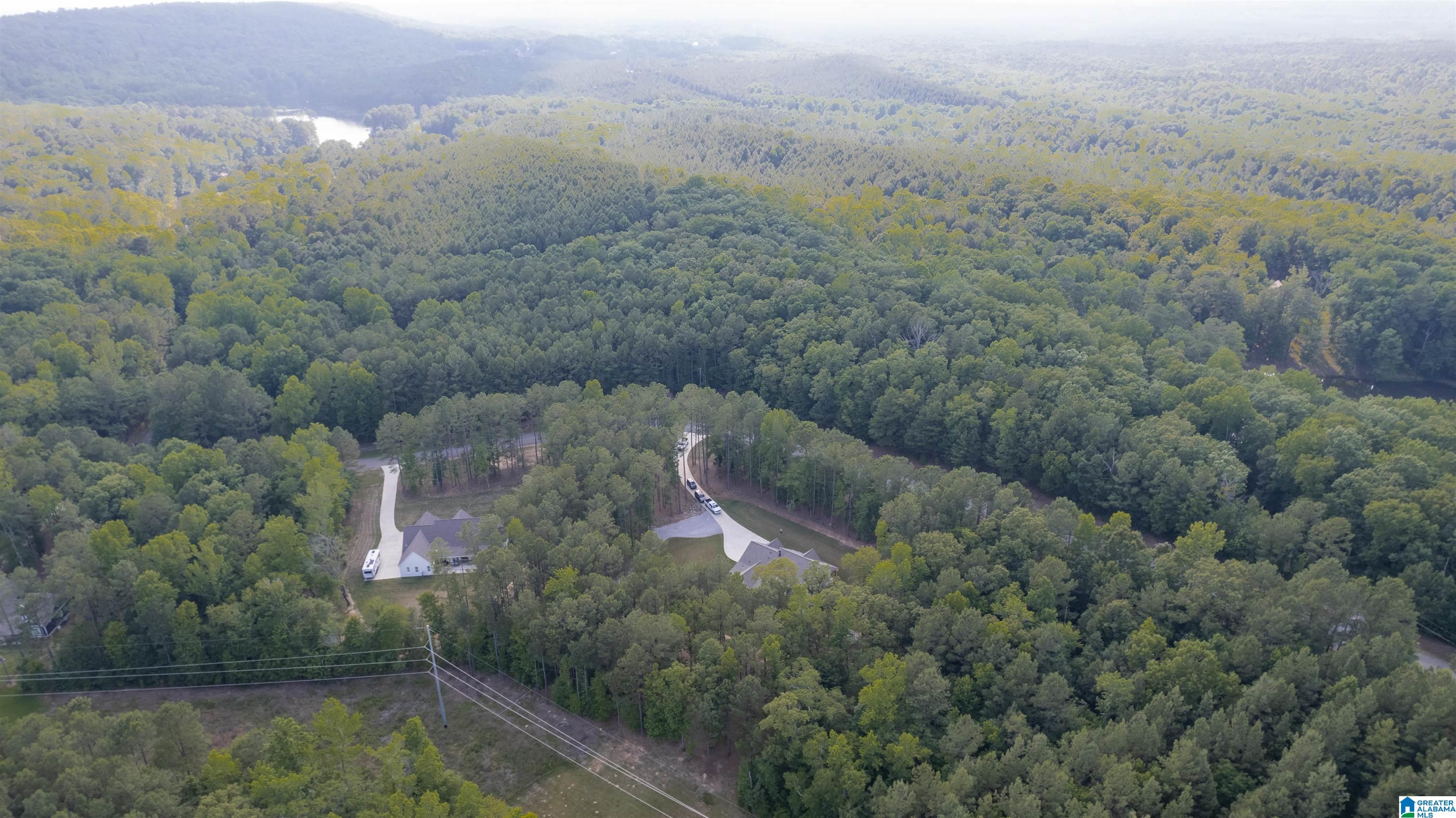 4324 Highway 331 Chelsea, AL 35043 - Photo 55 of 57