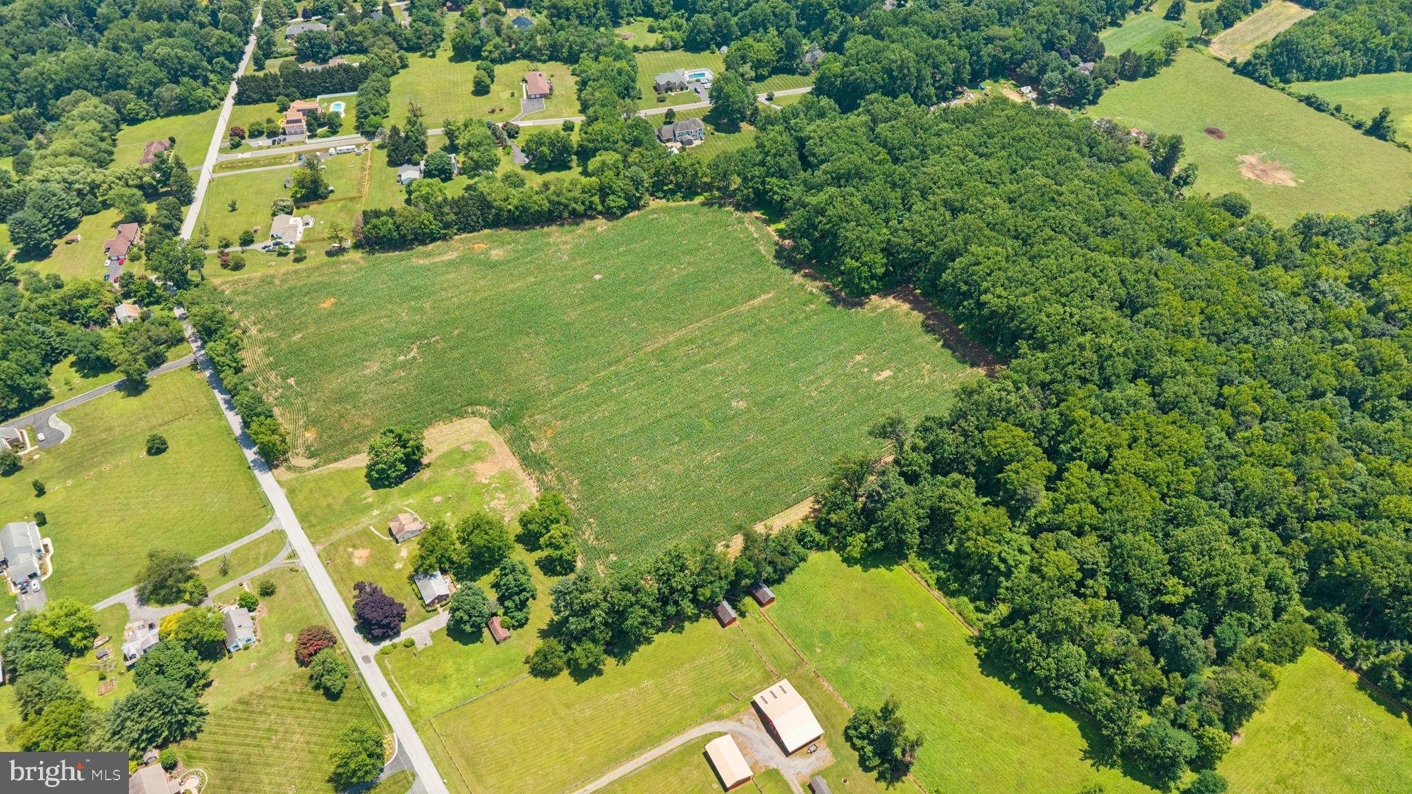 7219 New Cut Road Kingsville, MD 21087 - Photo 9 of 59 Gallery Image 9