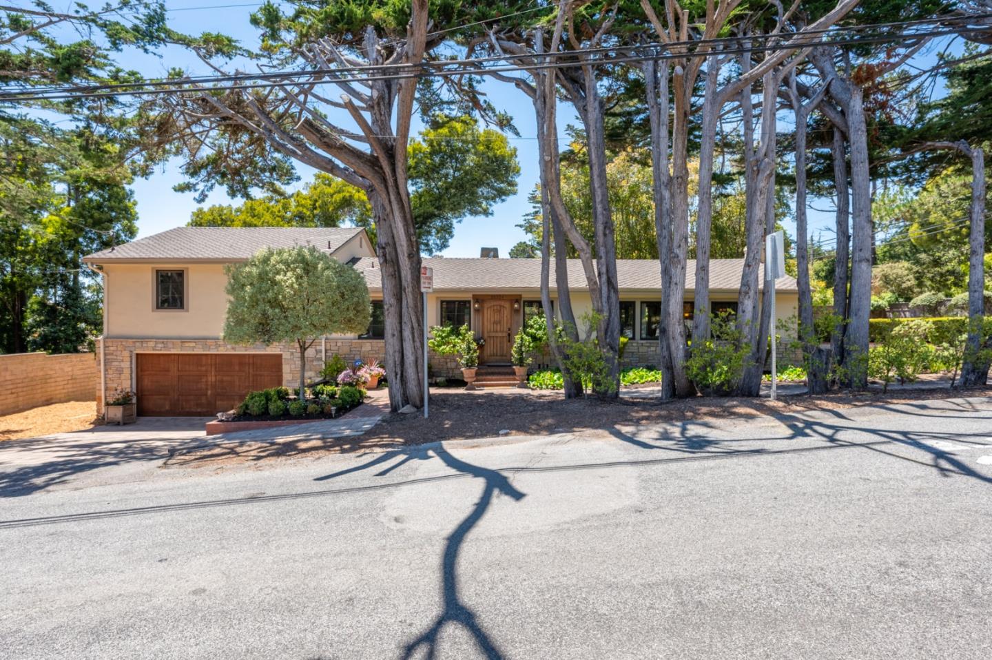 25324 Hatton Road Carmel, CA 93923 - Photo 19 of 19 a row of palm trees in front of a house
