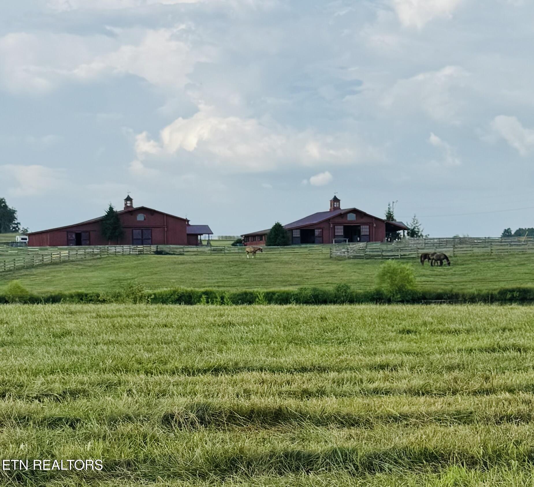 167 Bunkhouse Road Spencer, TN 38585 - Photo 49 of 59 IMG_3113