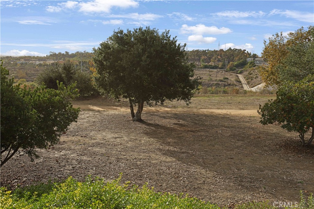19 Garrison Loop Ladera Ranch, CA 92694 - Photo 21 of 21 a view of dirt field with trees in the background
