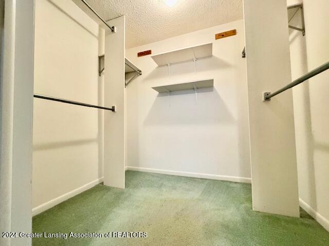 205 East Jolly Road, Unit 7 Lansing, MI 48910 - Photo 8 of 11 Primary Closet