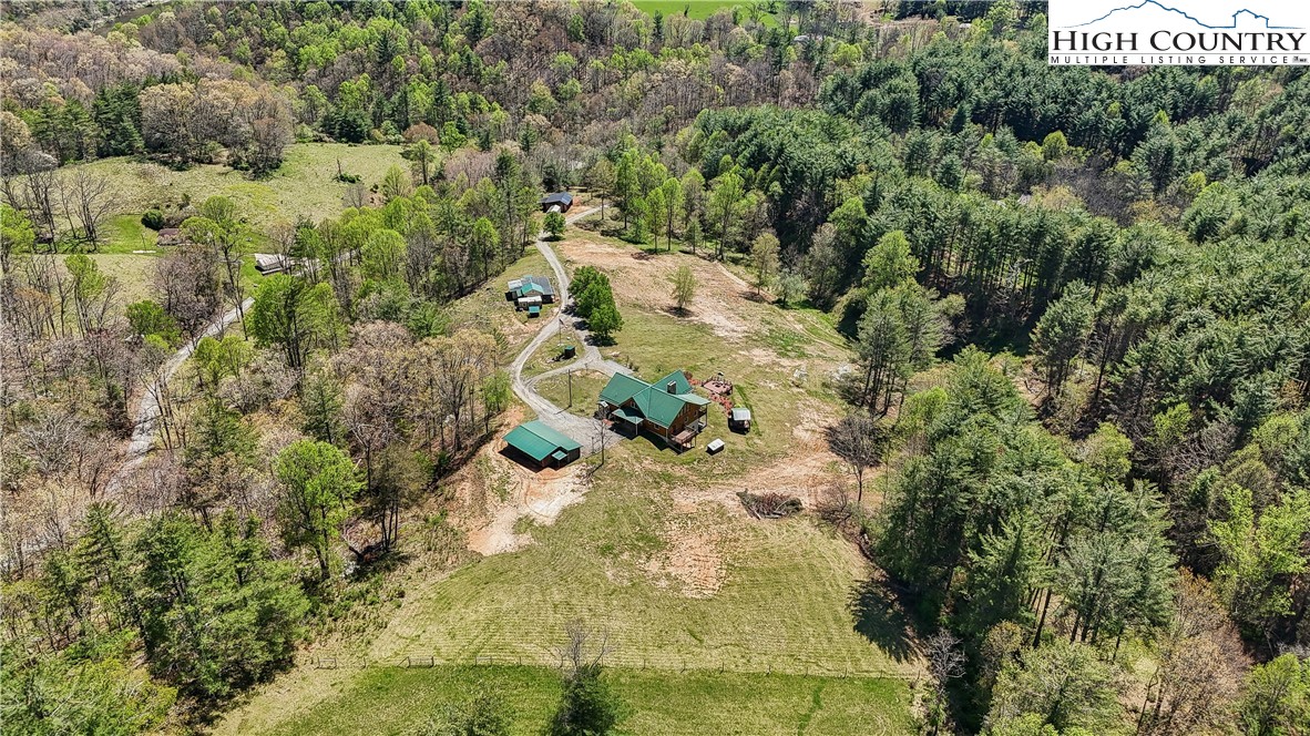 101 Double Branch Road Grassy Creek, NC 28631 - Photo 5 of 50 a view of a yard with trees