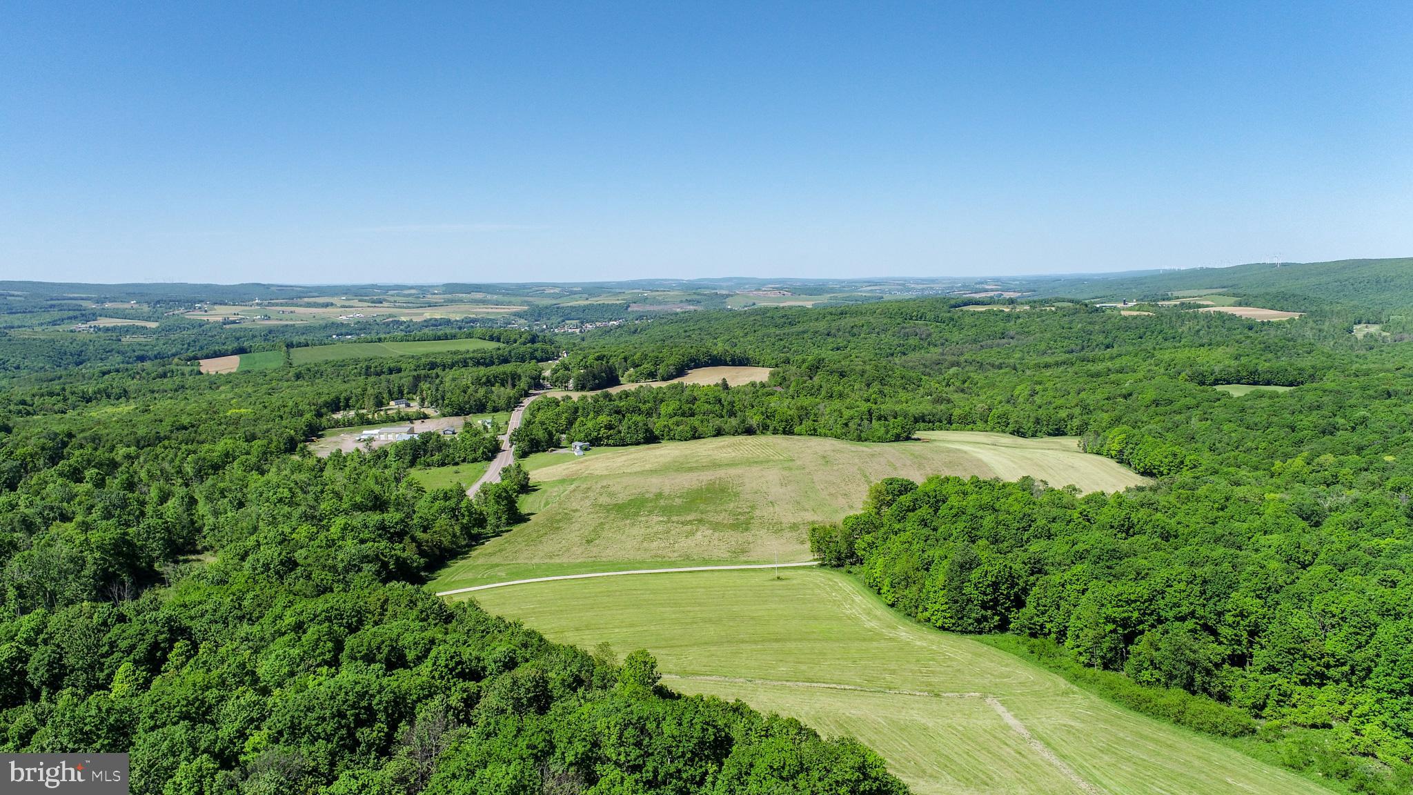 5-acres Chestnut Ridge Road Grantsville, MD 21536 - Photo 8 of 16